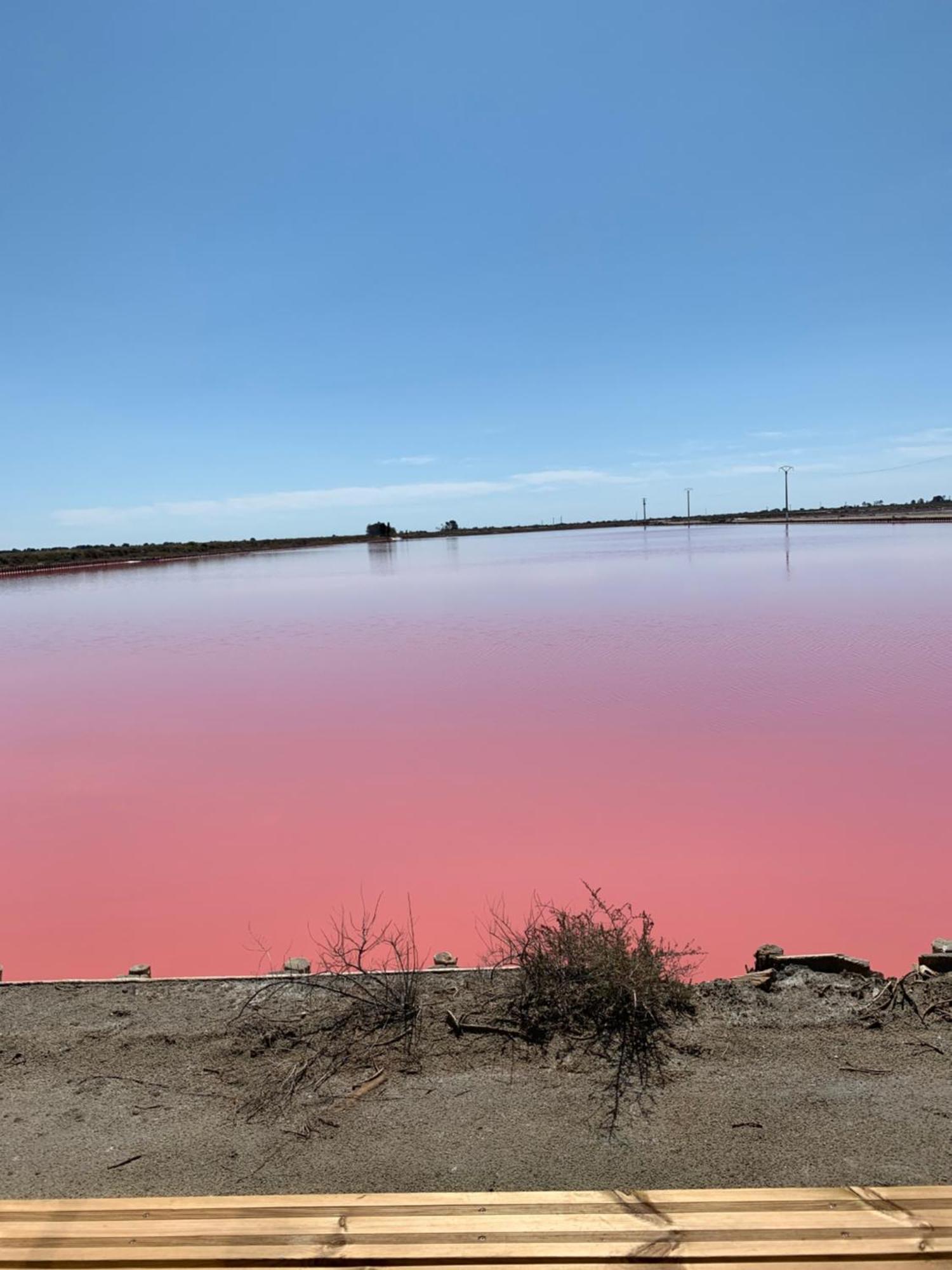 Nuits Salines 艾格-莫尔特 外观 照片